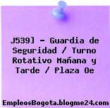 J539] – Guardia de Seguridad / Turno Rotativo Mañana y Tarde / Plaza Oe