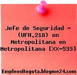 Jefe de Seguridad – (UFH.218) en Metropolitana en Metropolitana [XX-533]