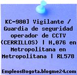 KC-980] Vigilante / Guardia de seguridad operador de CCTV (CERRILLOS) | H.076 en Metropolitana en Metropolitana | RL578