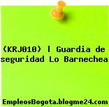 (KRJ010) | Guardia de seguridad Lo Barnechea