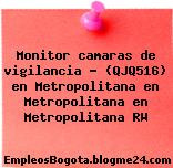 Monitor camaras de vigilancia – (QJQ516) en Metropolitana en Metropolitana en Metropolitana RW