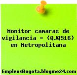 Monitor camaras de vigilancia – (QJQ516) en Metropolitana