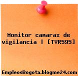 Monitor camaras de vigilancia | [TVR595]
