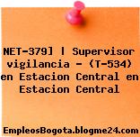 NET-379] | Supervisor vigilancia – (T-534) en Estacion Central en Estacion Central