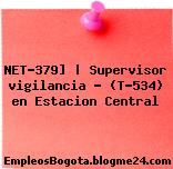 NET-379] | Supervisor vigilancia – (T-534) en Estacion Central