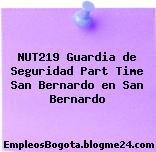 NUT219 Guardia de Seguridad Part Time San Bernardo en San Bernardo