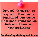 (O-240) (FPH710) Se requiere Guardia de Seguridad con curso OS10 para Peñaflor en Metropolitana en Metropolitana