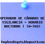OPERADOR DE CÁMARAS DE VIGILANCIA – HORARIO NOCTURNO | (W-769)