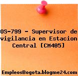 OS-799 – Supervisor de vigilancia en Estacion Central [CM405]