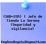 (SDD-235) | Jefe de Tienda La Serena (Seguridad y vigilancia)