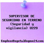 SUPERVISOR DE SEGURIDAD EN TERRENO (Seguridad y vigilancia) U229