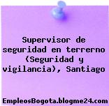 Supervisor de seguridad en terrerno (Seguridad y vigilancia), Santiago