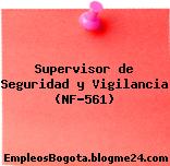 Supervisor de Seguridad y Vigilancia (NF-561)