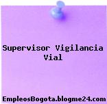 Supervisor Vigilancia Vial