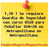 T.70 | Se requiere Guardia de Seguridad con curso OS10 para Peñaflor OXW-28 en Metropolitana en Metropolitana