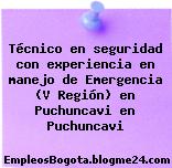Técnico en seguridad con experiencia en manejo de Emergencia (V Región) en Puchuncavi en Puchuncavi