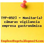 TYP-852] – Monitor(a) cámaras vigilancia empresa gastronómica