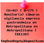 (U-43) | B-775 | Monitor(a) cámaras vigilancia empresa gastronómica en Metropolitana en Metropolitana | [KK139]
