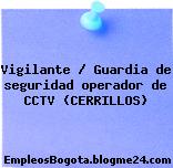 Vigilante / Guardia de seguridad operador de CCTV (CERRILLOS)