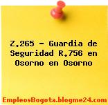 Z.265 – Guardia de Seguridad R.756 en Osorno en Osorno